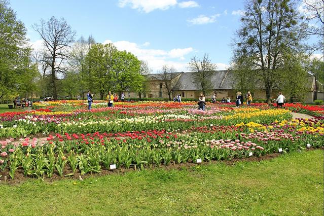 Vytautas Magnus University Botanical Garden